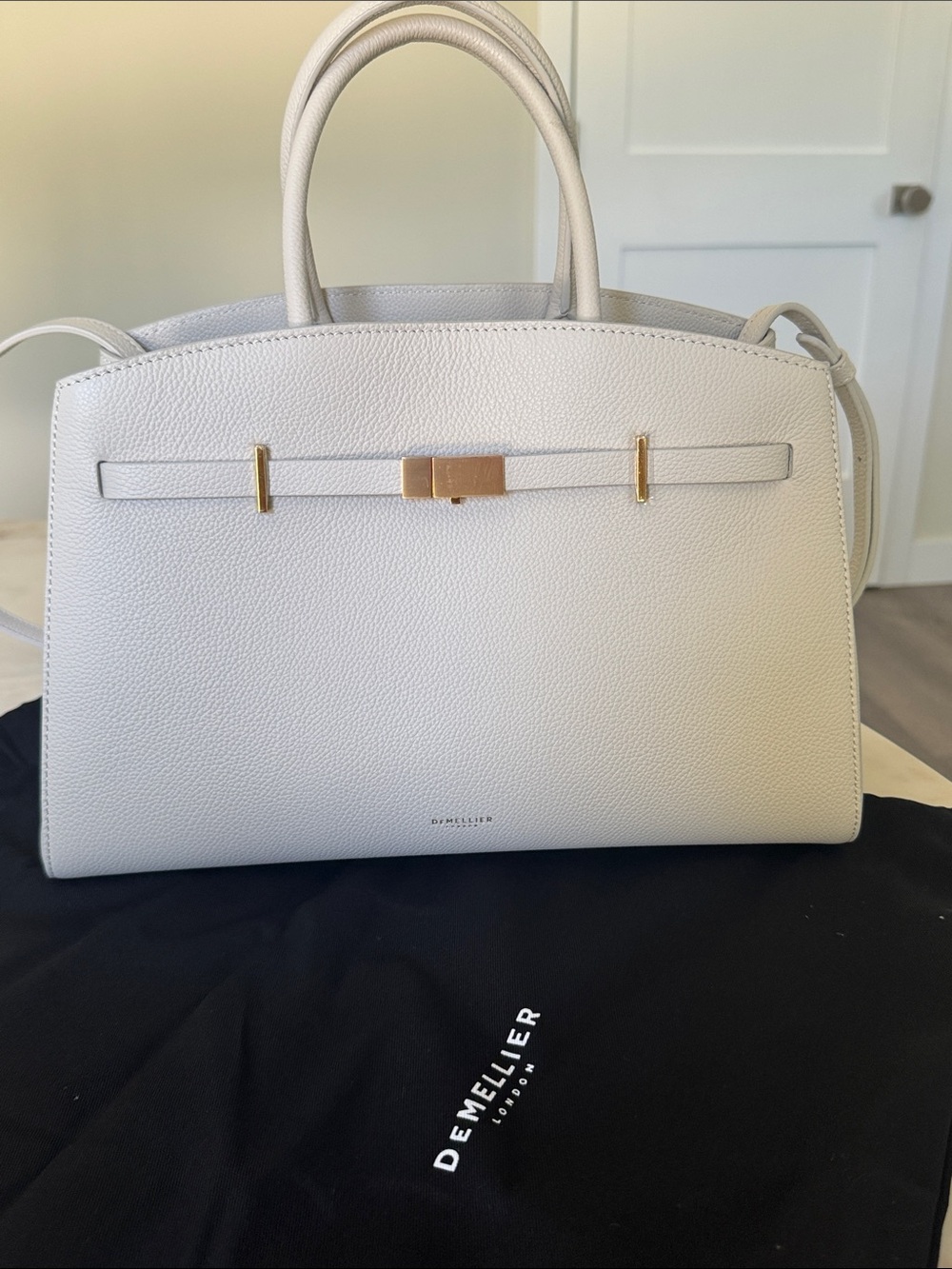 Demellier MIDI Hudson 🆕 - Picture 4 of 4